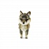 Мягкая игрушка Серая лисица стоящая 40 см  - миниатюра №6